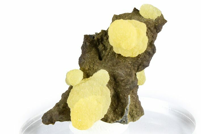 Globular Yellow Calcite Formations on Basalt - Italy #368861